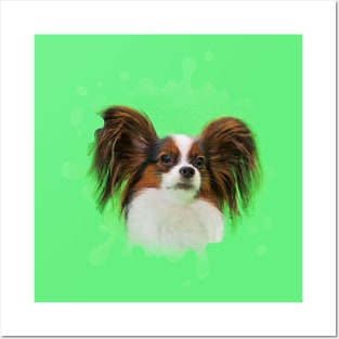 Papillon -Continental Toy Spaniel Posters and Art